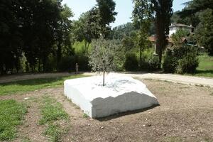 Una passeggiata tra scultura contemporanea, paesaggio e marmo nel Parco della Padula