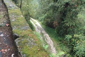 Nessuna manutenzione dei fossati nell'area del cimitero di Forno: i consiglieri del Pd fanno un'interpellanza all'amministrazione Persiani