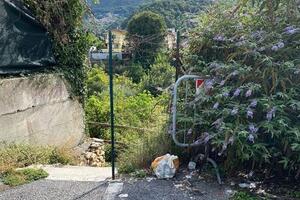 Parcheggio di Ortola, a Massa, nel degrado: la segnalazione dei consiglieri del Pd