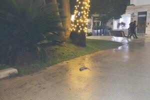 Patto per il Nord: &quot;Ratto in pieno centro a Marina di Massa. Immagini che parlano da sole&quot;