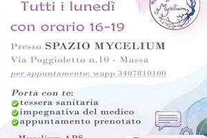 Apertura del nuovo Sportello Civico per la Cittadinanza e supporto sanitario - Mycelium