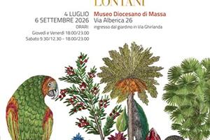 "Esotismi: mode e stravaganze da mondi lontani": la nuova mostra al Museo Diocesano di Massa dal 4 luglio
