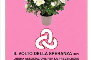 Volto della speranza: tornano le azalee per la festa della mamma nelle piazze di tutta la provincia l'iniziativa a sostegno dei malati oncologici