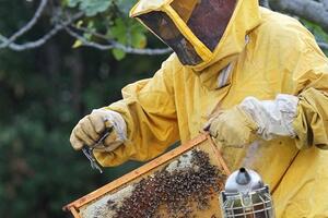 Coldiretti: ad aprile nuovo corso a Massa per diventare apicoltore rivolto ad hobbisti ed imprenditori agricoli