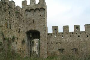 Cinquecentomila euro per il castello di Moneta in arrivo dal ministero della Cultura: lo  afferma l'onorevole Barabotti della Lega