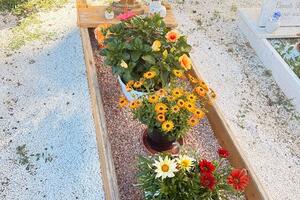 Ruba fiori dalle tombe del cimitero di Mirteto: incastrata da un geolocalizzatore da 30 euro