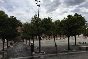 Estendere la data del bando per la raccolta delle arance amare a Massa: la richiesta di Italia Nostra Massa Montignoso