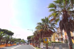 Palme a Marina e poi tigli, lecci, bagolari e aceri lungo viale XX Settembre.  Nausicaa mette a dimora 200 nuovi alberi
