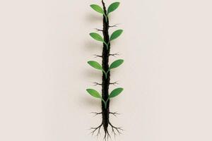 Summit dei 5 Stelle a Marina di Carrara per la presentazione del libro "Cicatrici di terra, semi di speranza" di Ilaria Fontana: con l'autrice ci saranno anche gli onorevoli Ricciardi e Quartini e il consigliere regionale Barontini