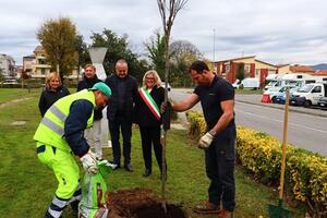 &#039;Un albero per ogni nuovo bimbo o bimba&#039;.  Piantati da Comune e Consorzio di Bonifica 35 alberi a Marina di Carrara