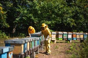 Oltre 800 soci, corsi e cooperazione: bilancio e punti di forza di Toscana Miele