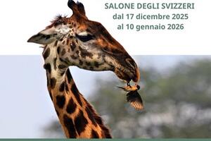 Massa: mostra naturalistica "E fu sera e fu mattina" dal 17 dicembre al 10 gennaio 2026 - Palazzo Ducale Massa