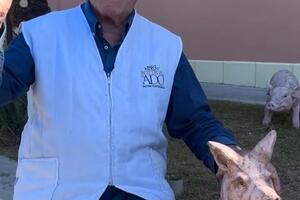 Il cordoglio dell'associazione La Rivincita per la scomparsa di Vittorio LLorenzetti