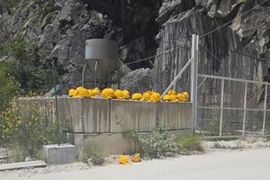 Il guasto a una jeep del tour alle cave diventa un caso mediatico: "Nè panico, nè feriti" Francesca Dell'Amico, titolare di Marmotour Michelangelo smentisce la narrazione catastrofica dell'evento sui social