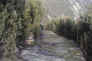 Il Parco delle Alpi Apuane mette in sicurezza il Sentiero del Bizzarro   La Regione finanzia il recupero grazie a un accordo tra Comune di Massa e Parco