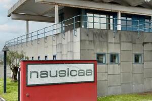 Nausicaa: ufficializzate le nomine del nuovo consiglio d’amministrazione. Antonio Valenti confermato presidente