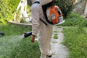 Venerdì 7 novembre prosegue a Marina di Carrara il trattamento di disinfestazione contro le zanzare