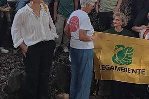 Il Tree Tag Day a Carrara: l’istituto comprensivo Fossola-A. Gentili, Italia Nostra e Legambiente insieme per la tutela degli alberi