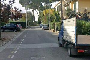 Marina di Massa, via Fosdinovo: abbattuto un pino storico. I cittadini si interrogano sulla legittimità e necessità del gesto