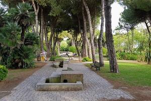 Chiuso il parco Puccinelli per lavori di manutenzione del verde