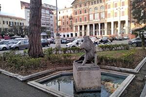 Segue le donne e compie atti osceni in pubblico: segnalata la presenza di un uomo di origine straniera nel centro di Carrara