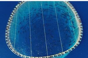 Dal 5 maggio a Carrara arriva &quot;Breath&quot;di Ilaria Congiu - Un viaggio che esplora il cambiamento climatico, l’inquinamento e la pesca industriale