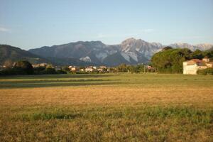 "Villa Ceci. Inaccettabile l'inerzia dell'amministrazione Arrighi". Verdi, Sinistra Italiana, Movimento 5 stelle e Prc tornano a chiedere il parco pubblico