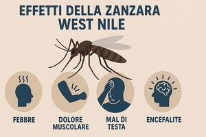 Aumentano i casi di West Nile in Toscana: la consigliera del Consorzio di Bonifica 1 Maria Teresa Baldini chiede al presidente di attivarsi per prevenire la diffusione del contagio