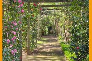 Giornate FAI di Primavera 2026 _Massa Carrara