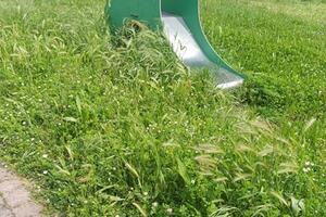 Parco pubblico di via delle Cateratte del Cinquale in condizioni di degrado: la segnalazione di Fratelli d&#039;Italia Massa Montignoso