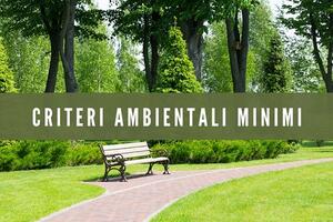 Alberi, cittadini e diritto, la svolta necessaria per la tutela del verde pubblico: il decalogo di Florida Nicolai di Associazione Arca