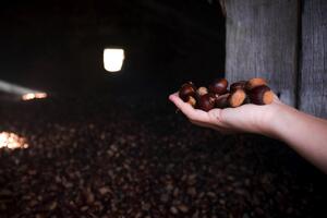 Sarà Filattiera la sede dell’Incontro Nazionale della Rete dei Castanicoltori Slow Food