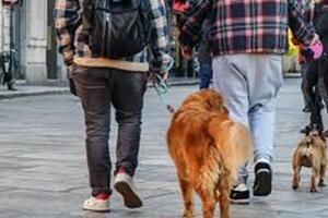 Il professor Canesi difende l&#039;obbligo della bottiglietta d&#039;acqua per pulire le deiezioni canine: è normalità nei paesi avanzati