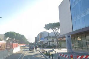 Ventisette pini sani da sradicare: quando il bene comune paga il conto degli interessi di pochi