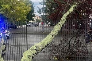 Maltempo ad Aulla: precipitazioni particolarmente intense, Amministrazione e operatori in campo per fronteggiare le criticità