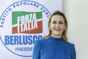 Commissario straordinario per coordinare gli interventi sull&#039;erosione della costa apuoversiliese. la proposta dell&#039;onorevole Bergamini di Forza Italia