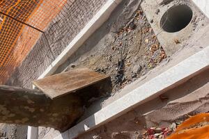 Aiuole degli alberi di Viale Colombo cementate: la denuncia di Associazione Arca di Marina di Carrara