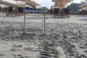“Primo nido di tartaruga marina a Marina di Carrara: importante indicatore della qualità delle nostre acque”: il commento dell&#039;assessore Lorenzini