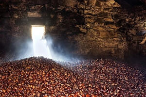 Castagneti al centro con la due giorni Slow Food. Venerdì e sabato a Filattiera