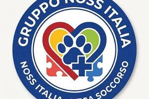 SOS cani e gatti: al numero 345 8827184 è attivo il servizio recupero 24 ore su 24