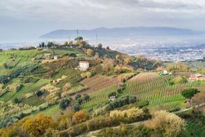 Fratelli d&#039;Italia Massa: pieno sostegno alla valorizzazione e alla sicurezza della zona del Candia