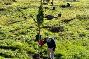 Ventotto Comuni e oltre 2.000 piante: torna il progetto dedicato ai 'nuovi nati' del Consorzio di Bonifica