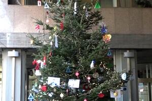 A Massa il 9 dicembre si inaugura l&#039;albero di Natale dei bambini nell&#039;atrio del comune