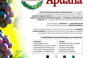 Progetto Vetrina Toscana incontra la Costa Apuana