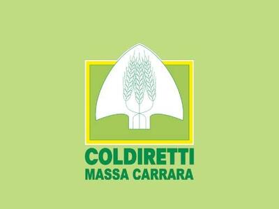 UE: Coldiretti, agricoltori apuani in piazza a Bruxelles giovedì 18 dicembre per protestare contro i tagli Pac e Mercosur