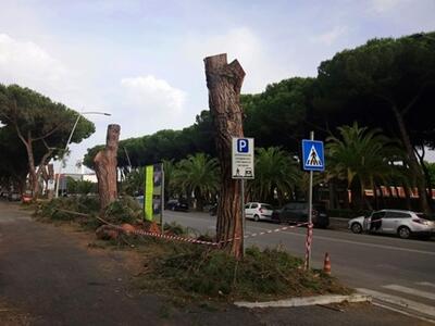 Viale Colombo, De Pasquale riscrive la storia. Le carte lo smentiscono