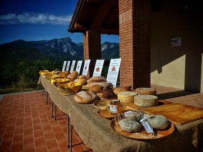 La Via dei Pani delle Apuane: a Careggine il pane diventa viaggio nella memoria della Garfagnana