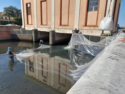 Massa- Il Brugiano guarda al futuro: tecnologia e automazione. Investimento strategico per la costa apuana