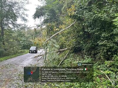 Albero pericolante sulla statale 445 a Casola Lunigiana: rimosso dall'intervento dei carabinieri e della Protezione Civile di Fivizzano