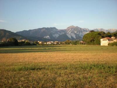 "Villa Ceci. Inaccettabile l'inerzia dell'amministrazione Arrighi". Verdi, Sinistra Italiana, Movimento 5 stelle e Prc tornano a chiedere il parco pubblico